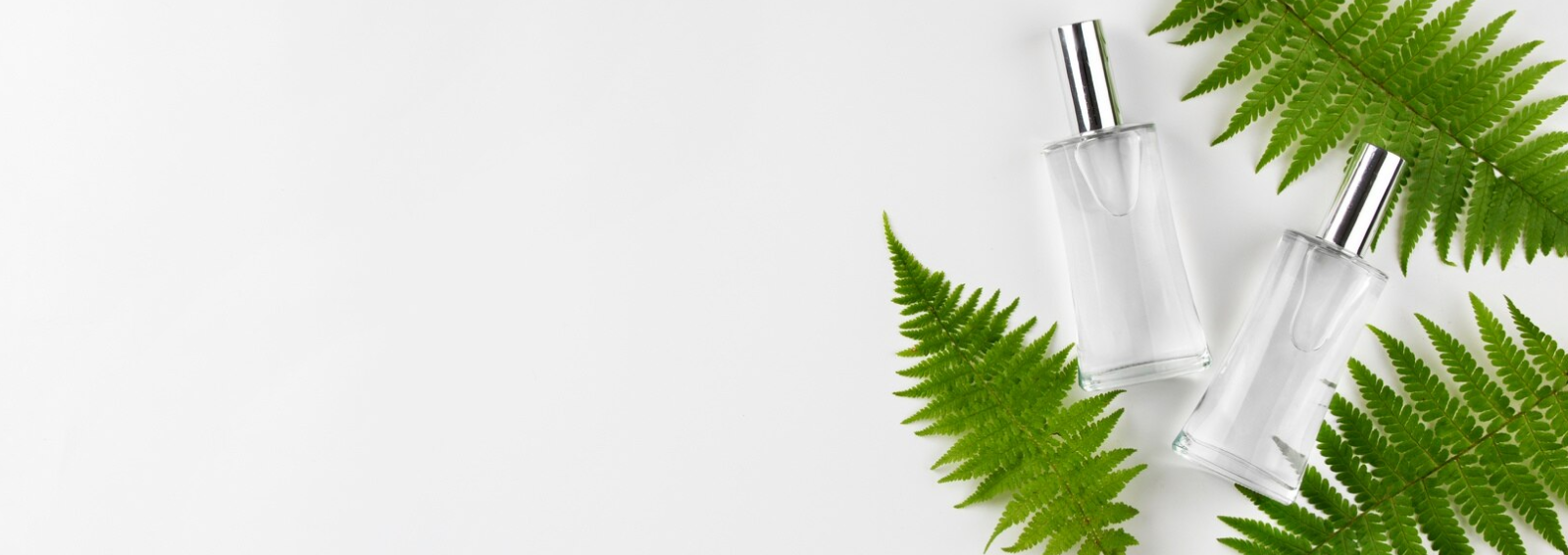 5 GIÁ TRỊ CỐT LÕI