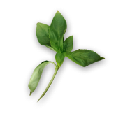 Whoops...this page is not available